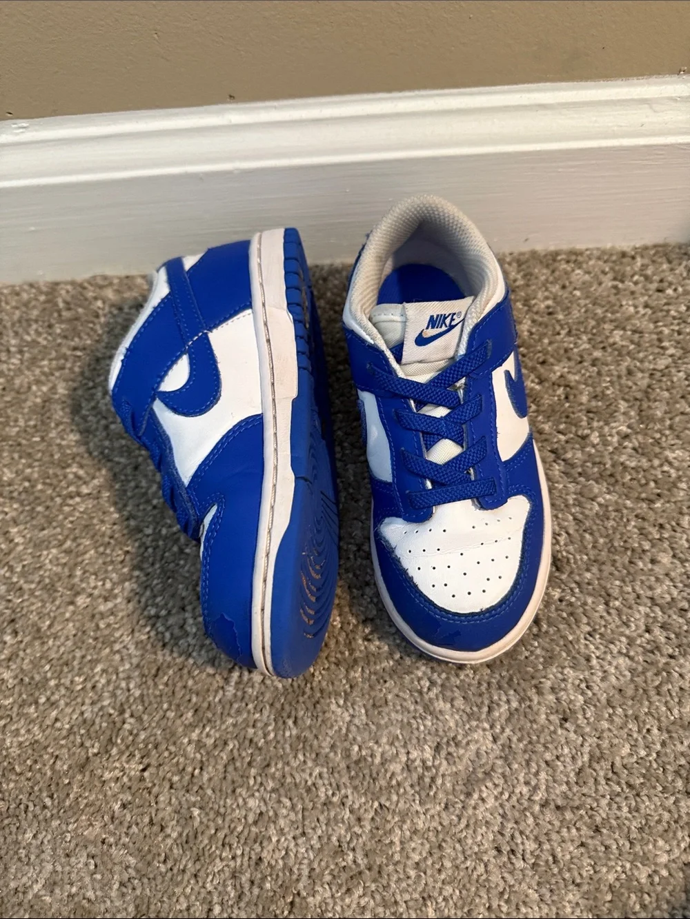 Toddler Nike Dunks